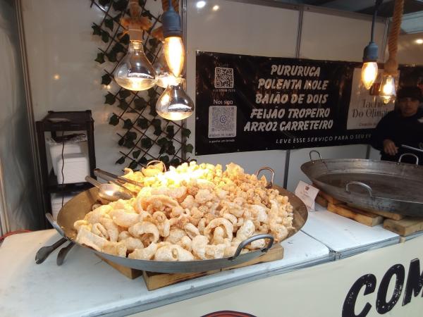 Festa Nordestina no Parque das Hortênsias promete agitar Taboão da Serra com entrada gratuita de 26 a 05/07 