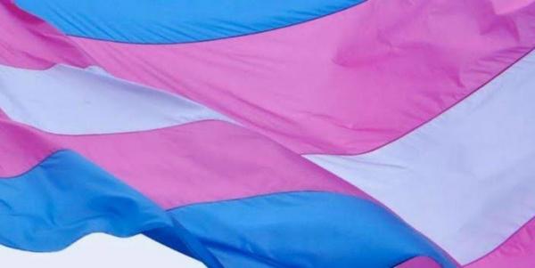  Visibilidade Trans: Secretaria da Mulher reforça que DDM’s atendem este público