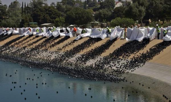 Por que 96 milhões de bolas de plástico foram despejadas em um reservatório de Los Angeles?
