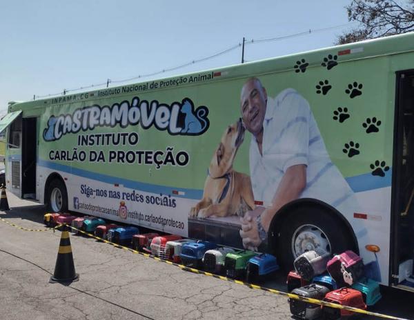 Campanha gratuita de castração realizada pelo Instituto Carlão da Proteção realizou mais de 600 procedimentos em Cotia
