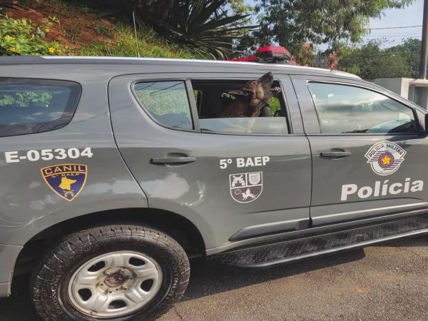 Baep apreende drogas em Carapicuíba