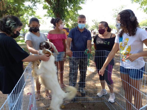 Dia Animal reunirá diversos serviços gratuitos aos pets de Barueri