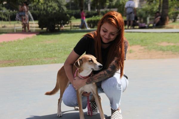 Adota Delivery já encontrou um lar para 523 pets desde que foi criado